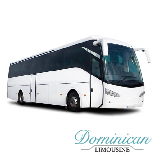 Scania Bus 45